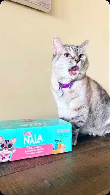 Nala licking her chops beside a Love, Nala tuna carrot and salmon food box
